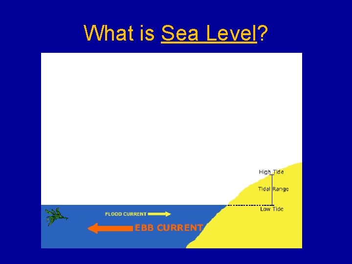 What is Sea Level? 