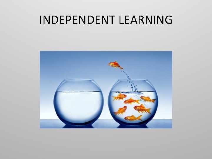 INDEPENDENT LEARNING 