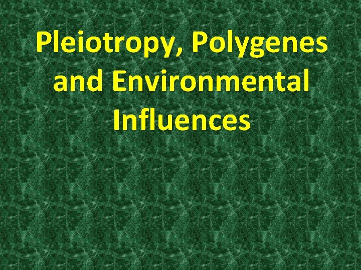 Pleiotropy, Polygenes and Environmental Influences 