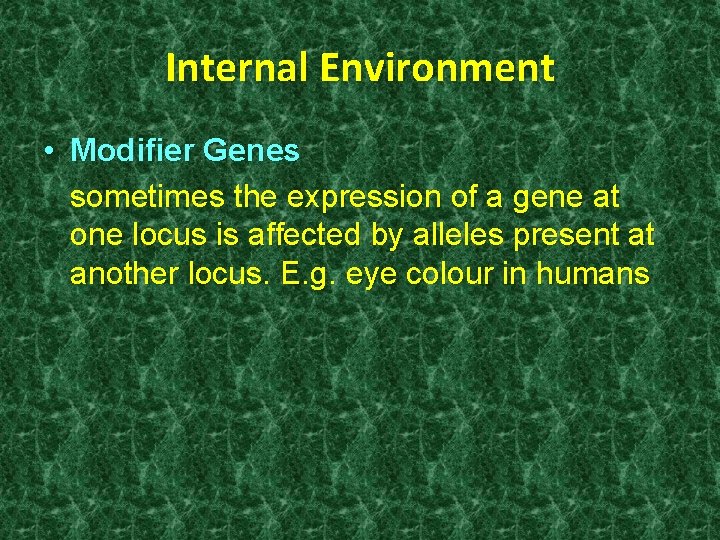 Internal Environment • Modifier Genes sometimes the expression of a gene at one locus