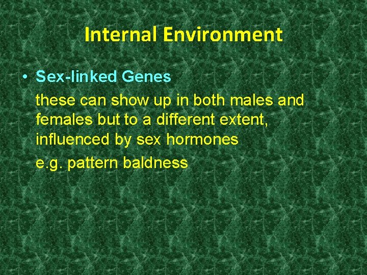 Internal Environment • Sex-linked Genes these can show up in both males and females