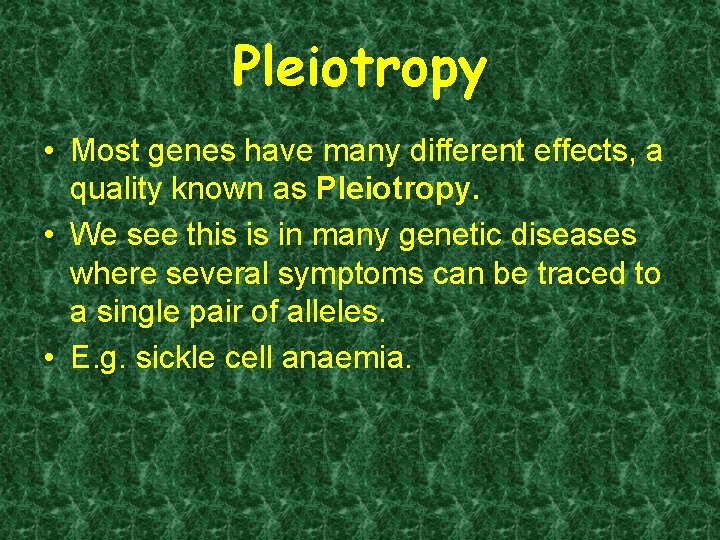 Pleiotropy • Most genes have many different effects, a quality known as Pleiotropy. •