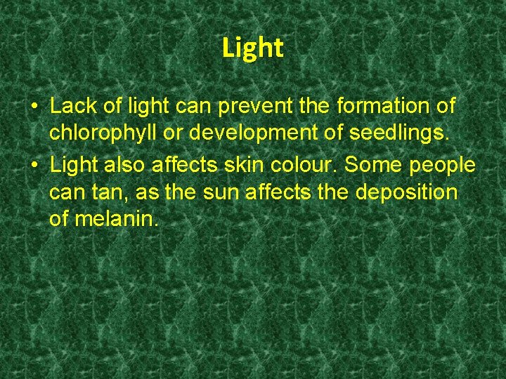 Light • Lack of light can prevent the formation of chlorophyll or development of