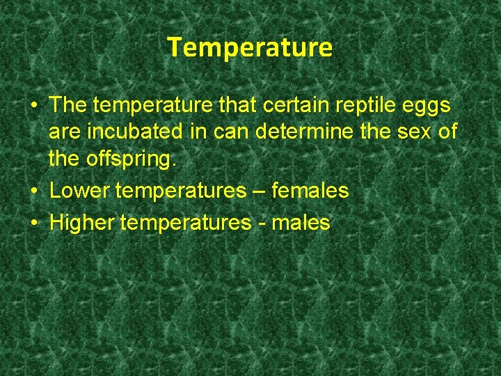 Temperature • The temperature that certain reptile eggs are incubated in can determine the