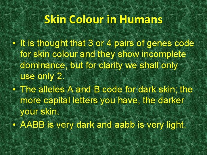 Skin Colour in Humans • It is thought that 3 or 4 pairs of