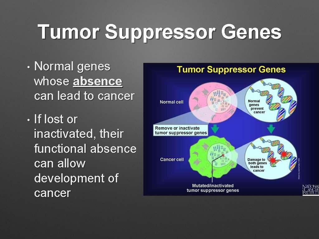 Tumor Suppressor Genes • Normal genes whose absence can lead to cancer • If