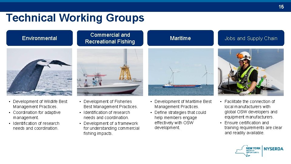 15 Technical Working Groups Environmental • Development of Wildlife Best Management Practices. • Coordination 15 Technical Working Groups Environmental • Development of Wildlife Best Management Practices. • Coordination