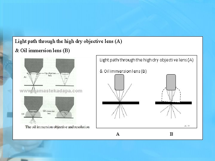 Light path through the high dry objective lens (A) & Oil immersion lens (B)