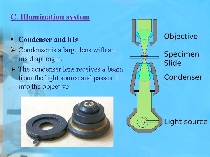 C. Illumination system § Condenser and iris Ø Condenser is a large lens with
