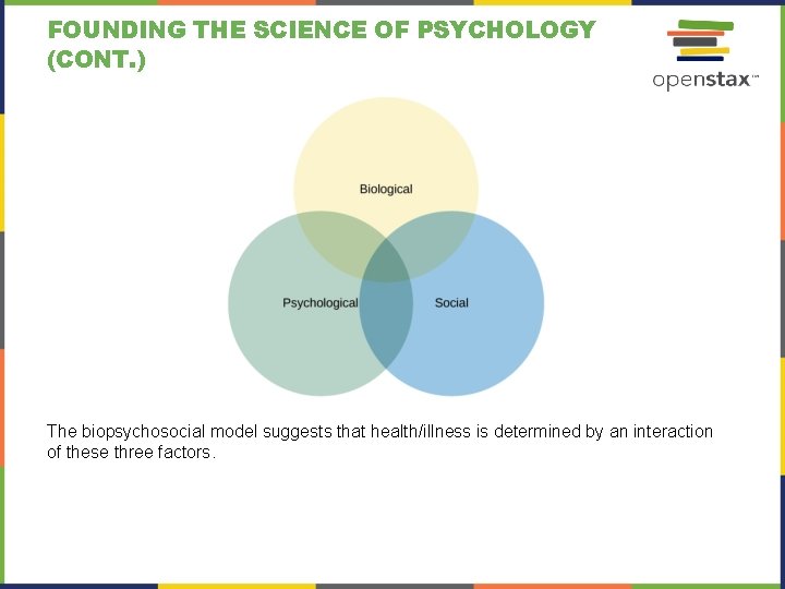 FOUNDING THE SCIENCE OF PSYCHOLOGY (CONT. ) The biopsychosocial model suggests that health/illness is