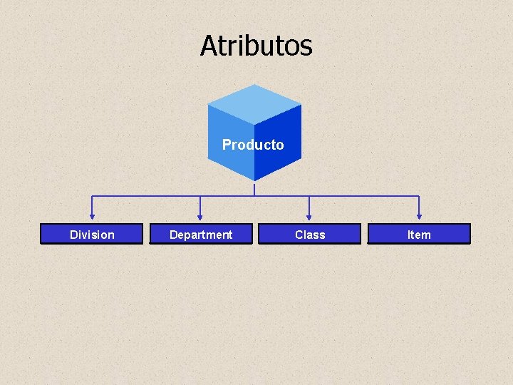 Atributos Geography Producto Division Department Class Item 