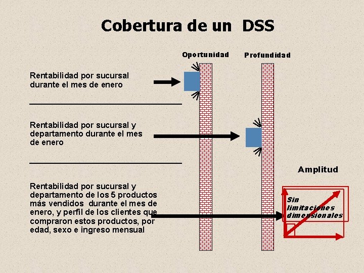 Cobertura de un DSS Oportunidad Profundidad Rentabilidad por sucursal durante el mes de enero