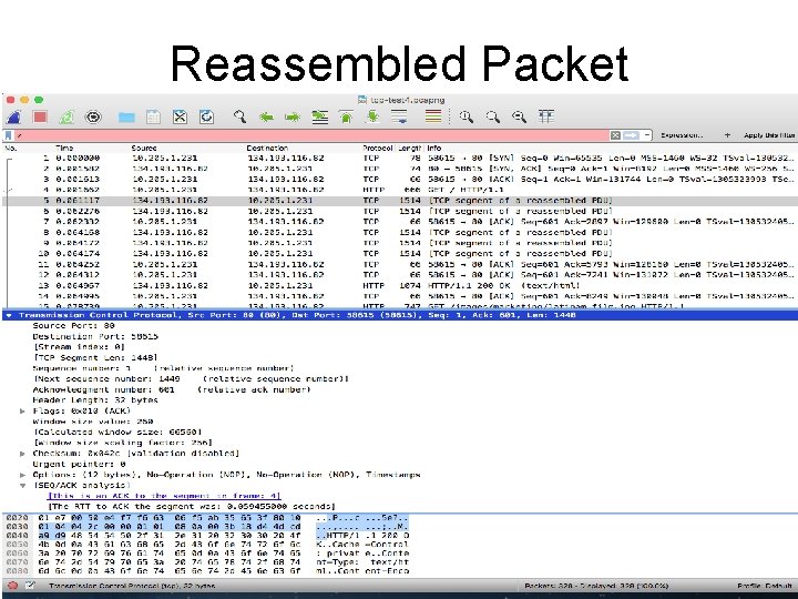 Reassembled Packet 11 