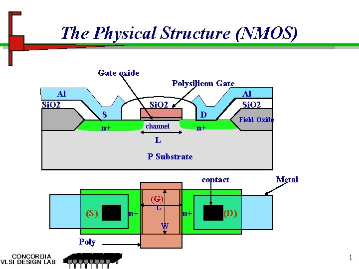 The Physical Structure (NMOS) Gate oxide Polysilicon Gate Al Si. O 2 S n+