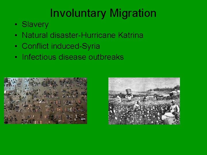 Involuntary Migration • • Slavery Natural disaster-Hurricane Katrina Conflict induced-Syria Infectious disease outbreaks 