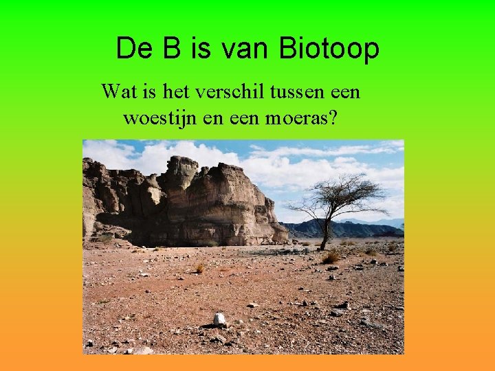 De B is van Biotoop Wat is het verschil tussen een woestijn en een