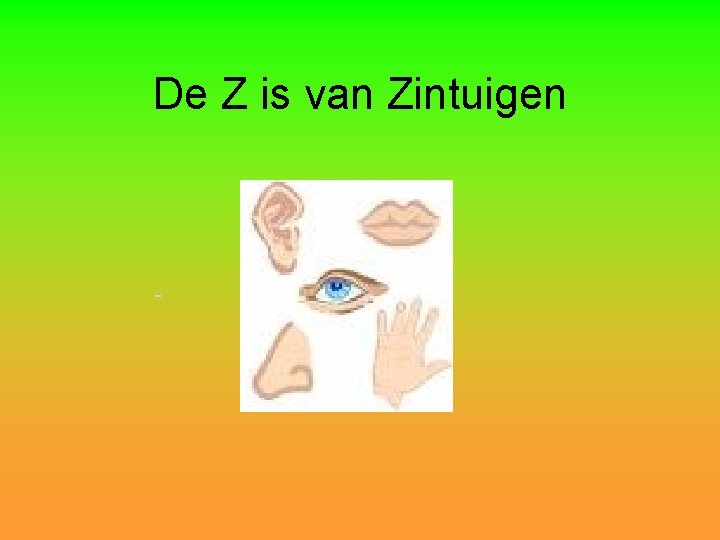 De Z is van Zintuigen 