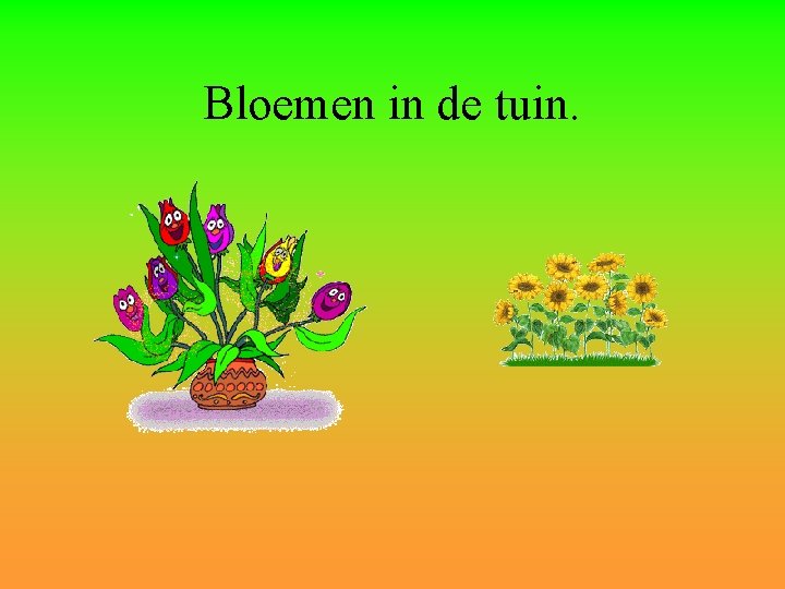 Bloemen in de tuin. 