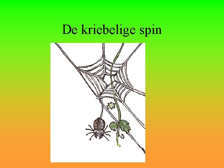 De kriebelige spin 