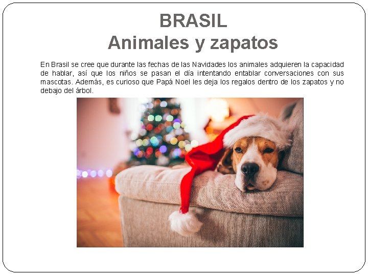 BRASIL Animales y zapatos En Brasil se cree que durante las fechas de las