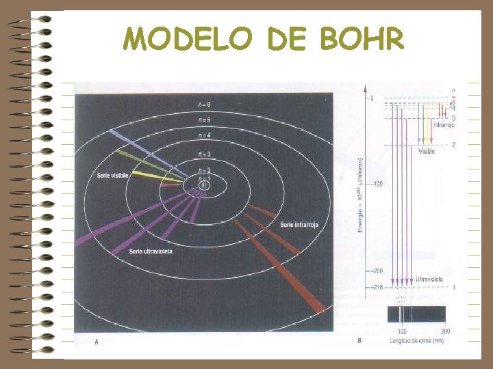 MODELO DE BOHR 