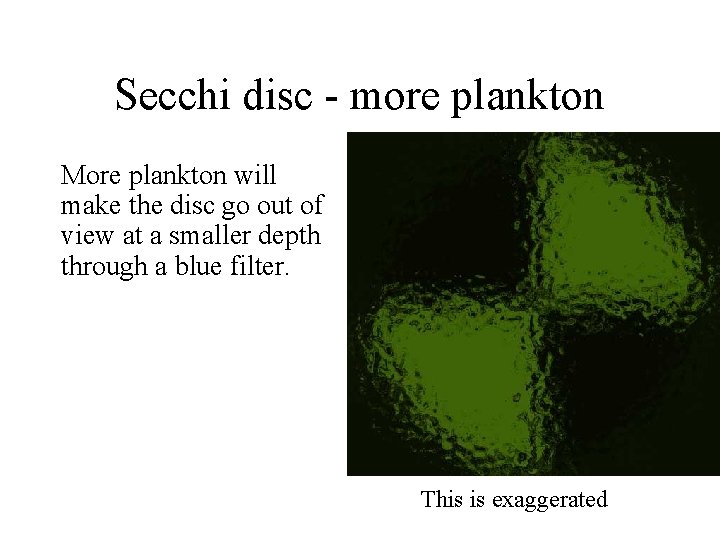 Secchi disc - more plankton More plankton will make the disc go out of