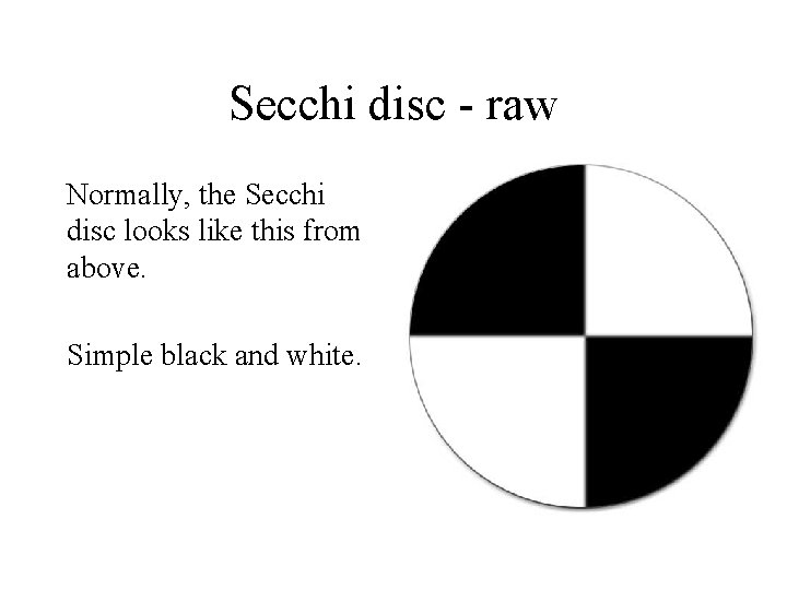 Secchi disc - raw Normally, the Secchi disc looks like this from above. Simple