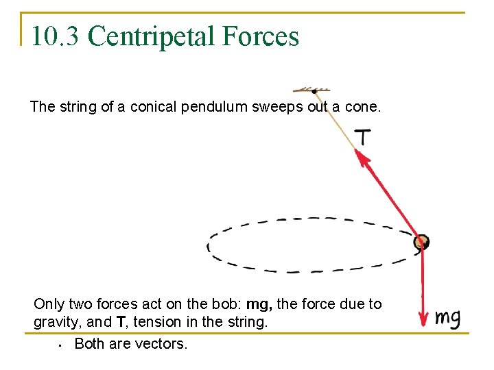 10. 3 Centripetal Forces The string of a conical pendulum sweeps out a cone.