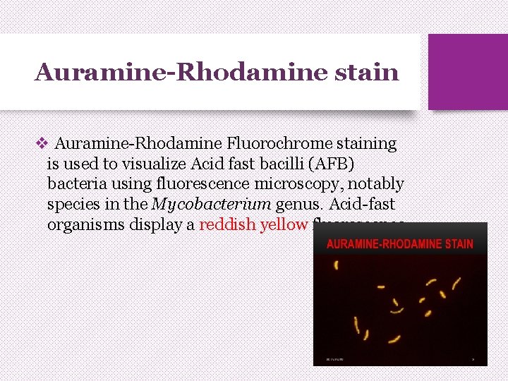 Auramine-Rhodamine stain v Auramine-Rhodamine Fluorochrome staining is used to visualize Acid fast bacilli (AFB)