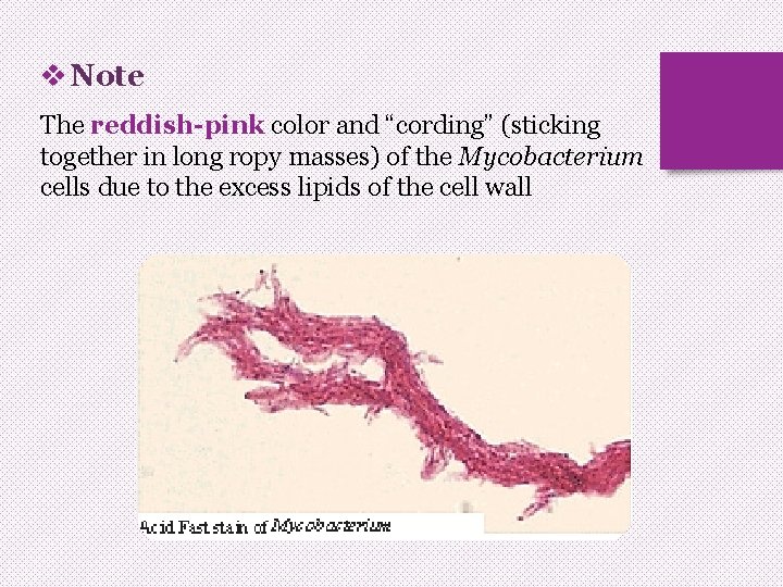 v Note The reddish-pink color and “cording” (sticking together in long ropy masses) of