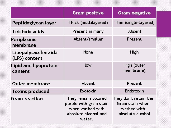 Gram-positive Gram-negative Thick (multilayered) Thin (single-layered) Present in many Absent/smaller Present Lipopolysaccharaide (LPS) content