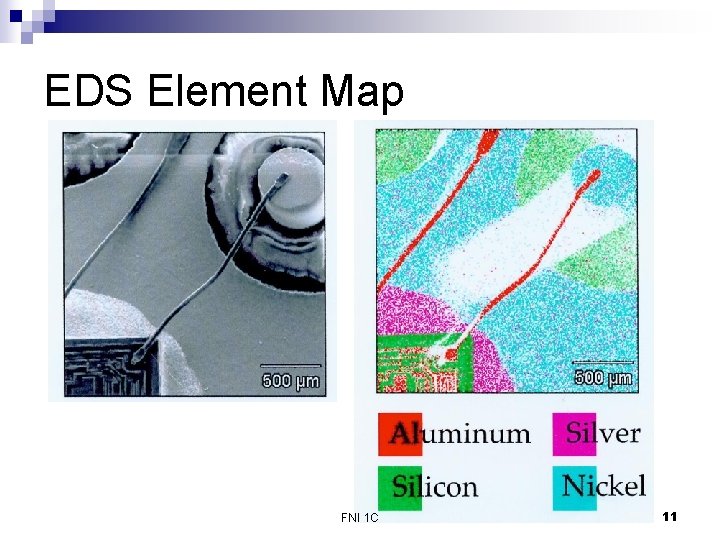 EDS Element Map FNI 1 C 11 