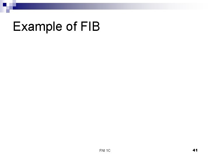 Example of FIB FNI 1 C 41 