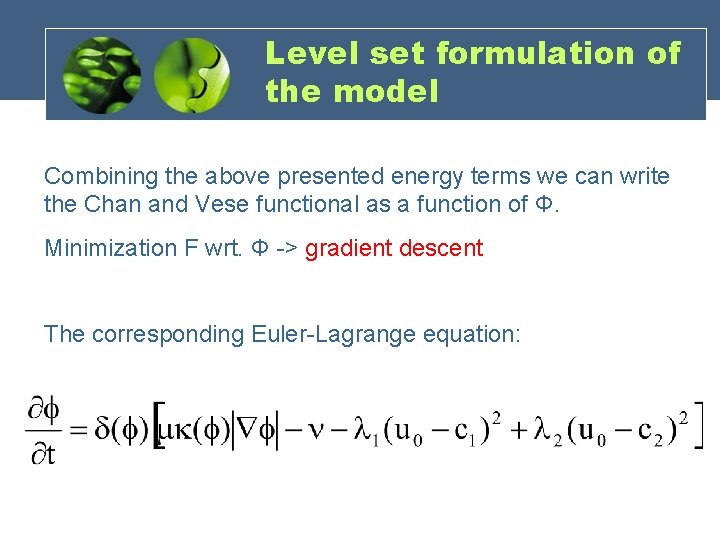 Level set formulation of the model Combining the above presented energy terms we can