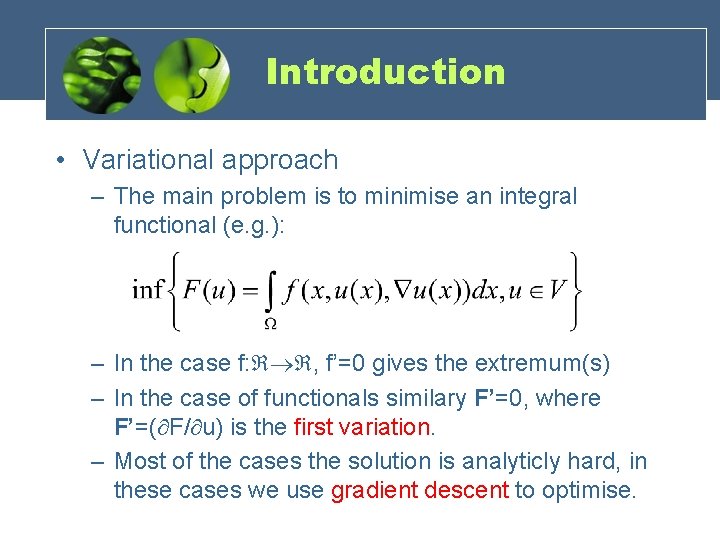 Introduction • Variational approach – The main problem is to minimise an integral functional