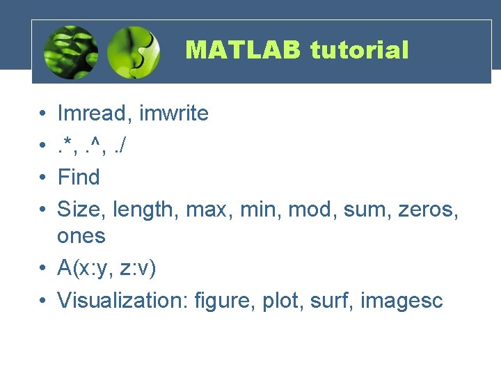 MATLAB tutorial • • Imread, imwrite. *, . ^, . / Find Size, length,