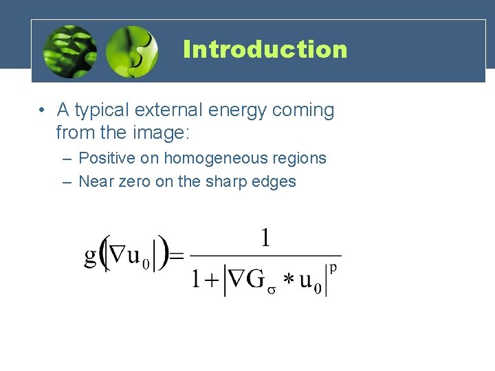 Introduction • A typical external energy coming from the image: – Positive on homogeneous