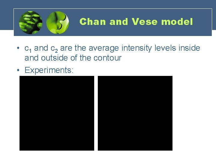 Chan and Vese model • c 1 and c 2 are the average intensity