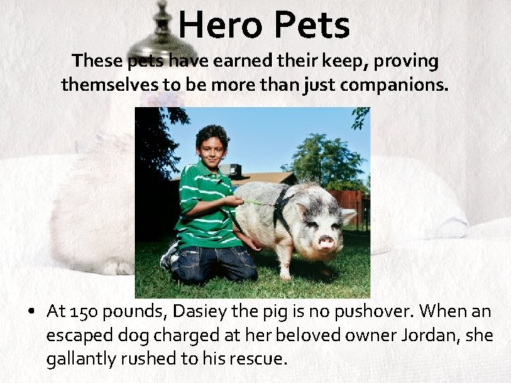 Hero Pets These pets have earned their keep, proving themselves to be more than