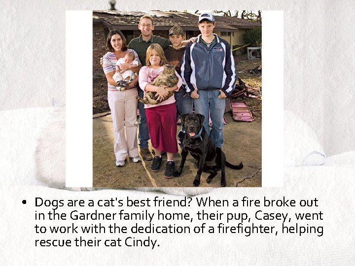  • Dogs are a cat's best friend? When a fire broke out in