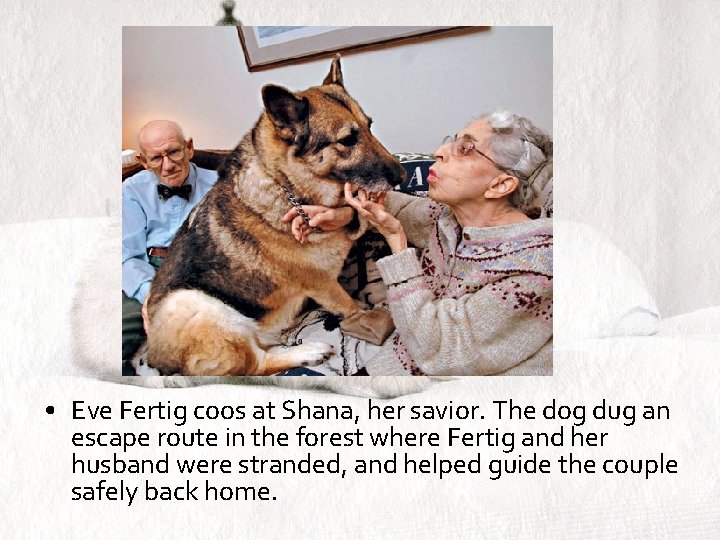  • Eve Fertig coos at Shana, her savior. The dog dug an escape
