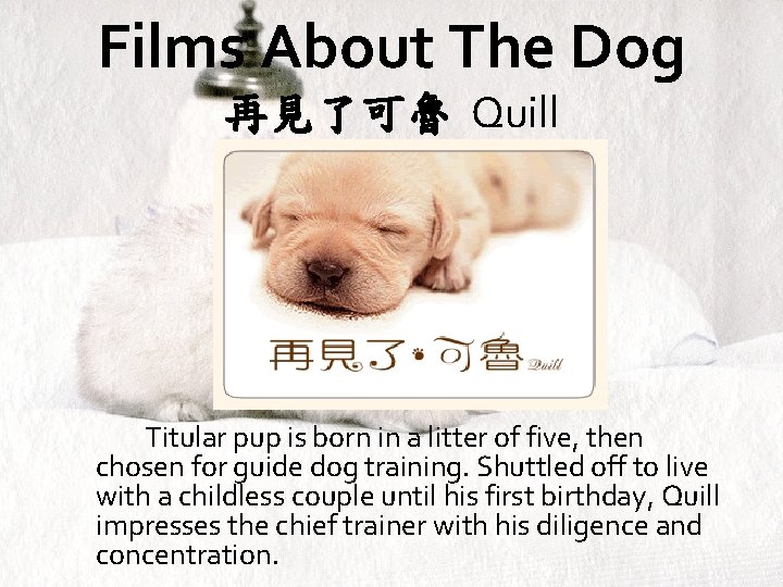 Films About The Dog 再見了可魯 Quill Titular pup is born in a litter of