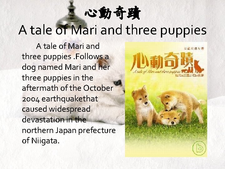 心動奇蹟 A tale of Mari and three puppies. Follows a dog named Mari and