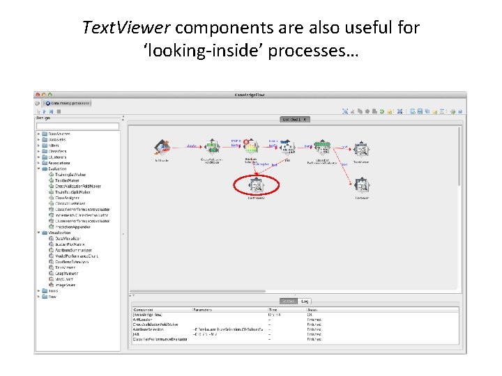 Text. Viewer components are also useful for ‘looking-inside’ processes… 