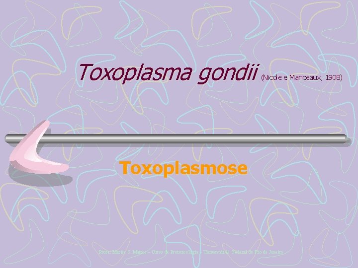 Toxoplasma gondii (Nicole e Manceaux, 1908) Toxoplasmose Profa. Marise S. Mattos – Curso de