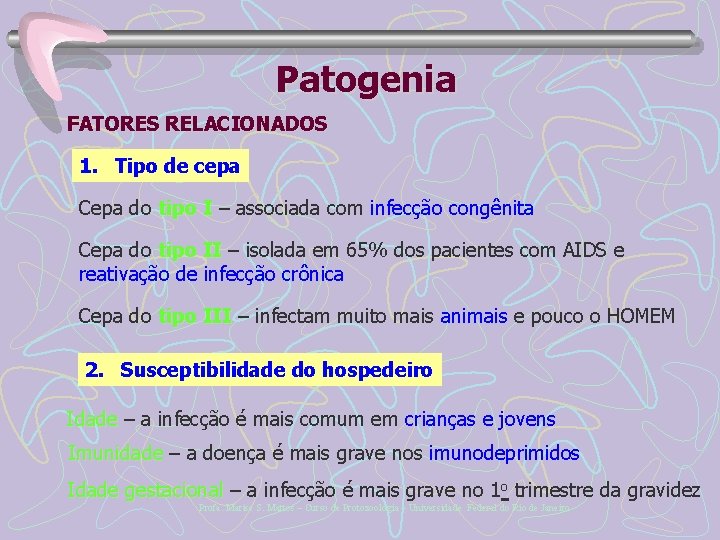Patogenia FATORES RELACIONADOS 1. Tipo de cepa Cepa do tipo I – associada com