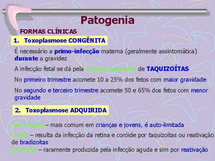Patogenia FORMAS CLÍNICAS 1. Toxoplasmose CONGÊNITA É necessário a primo-infecção materna (geralmente assintomática) durante