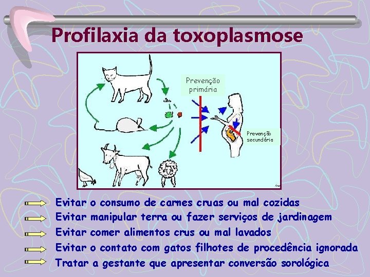 Profilaxia da toxoplasmose Prevenção primária Prevenção secundária Evitar o consumo de carnes cruas ou