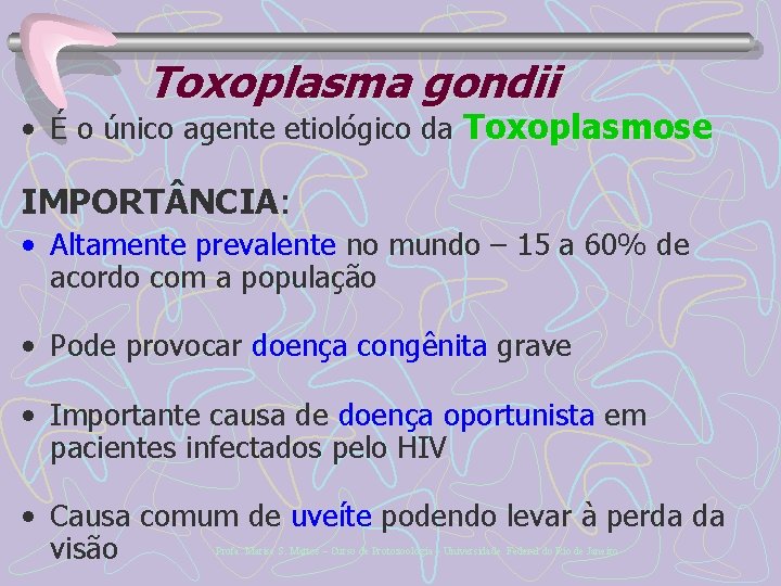 Toxoplasma gondii • É o único agente etiológico da Toxoplasmose IMPORT NCIA: • Altamente