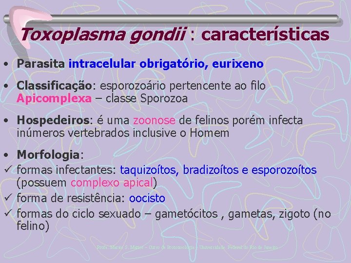 Toxoplasma gondii : características • Parasita intracelular obrigatório, eurixeno • Classificação: esporozoário pertencente ao